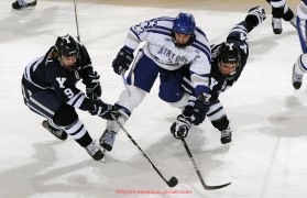 看球宝-世俱杯球迷举报通道是否启用及实际操作效果评估